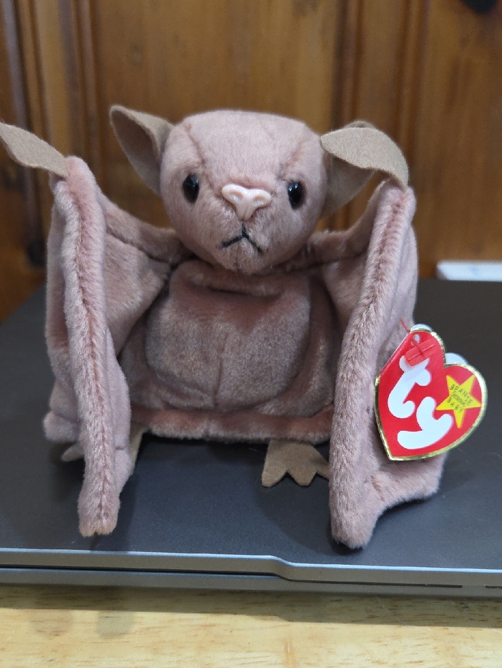 Ty Plush Bat Stuffed Animal - Pink Bat Toy